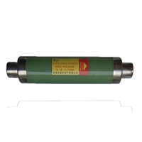 XRNT-12/50-125A高压限流熔断器
