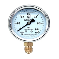 Y-A-Z系列抗振压力表