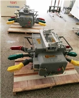 ZW20AF-12户外智能用户分界开关断路器带看门狗
