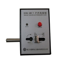 DSN3-AMY电磁网门锁