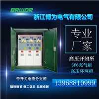 10kv开闭所,浙江开闭所生产厂家