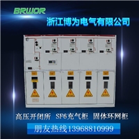 博为空气绝缘小型化环网柜固体绝缘环网柜