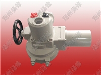 DQW电动头Q型阀门电装电动球阀蝶阀驱动装置