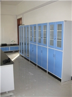 试剂柜（全木药品柜 全钢试剂柜）实验室专用