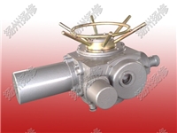 调节型执行器DZTZ120-24W阀门电动装置