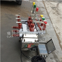 ZW10-12FGG/630A智能双电源双隔离高压真空断路器 10KV柱上真空开关
