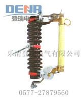 供应RW11-10/100A跌落式熔断器