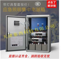 回路控制模块NT-D-0.5KVA-8070消防应急灯具专用应急电源