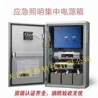 A型应急照明集中电源SY-D-0.3KVA回路控制模块