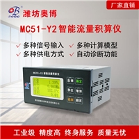 智能流量积算仪MC51-Y2 蒸汽气体液体计量表