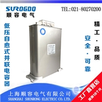 低压自愈式并联电力电容器