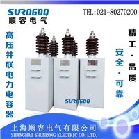 高压并联电力电容器