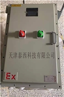 ExdIIBT4防爆应急照明集中电源TY-D-0.5KVA江山消防
