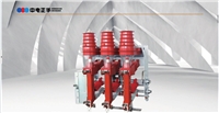 高压负荷开关 - 熔断器组合电器FKRN12-12(D)/T125-31.5