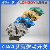 CWA微动开关